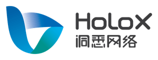 HoloX 洞悉网络